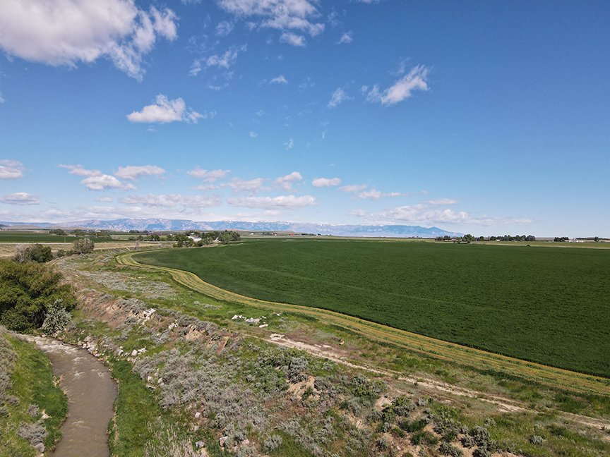 Wyoming Irrigated Hay Farm