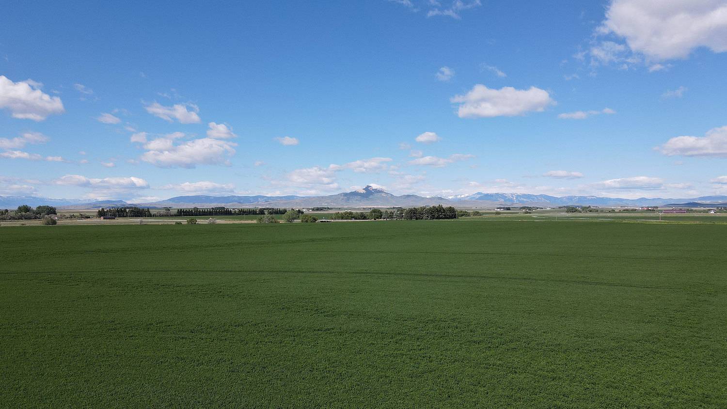 Wyoming Irrigated Hay Farm