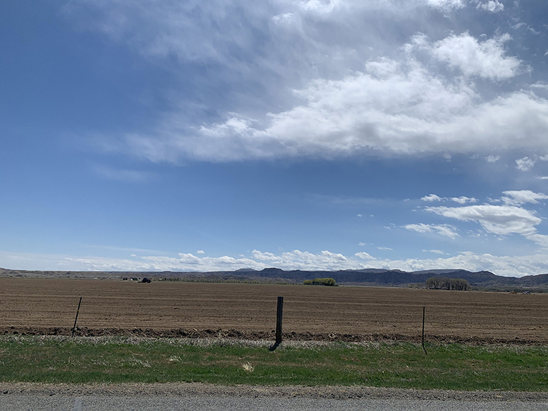 Willwood 80 Irrigated Acres, Powell Wyoming, Park County