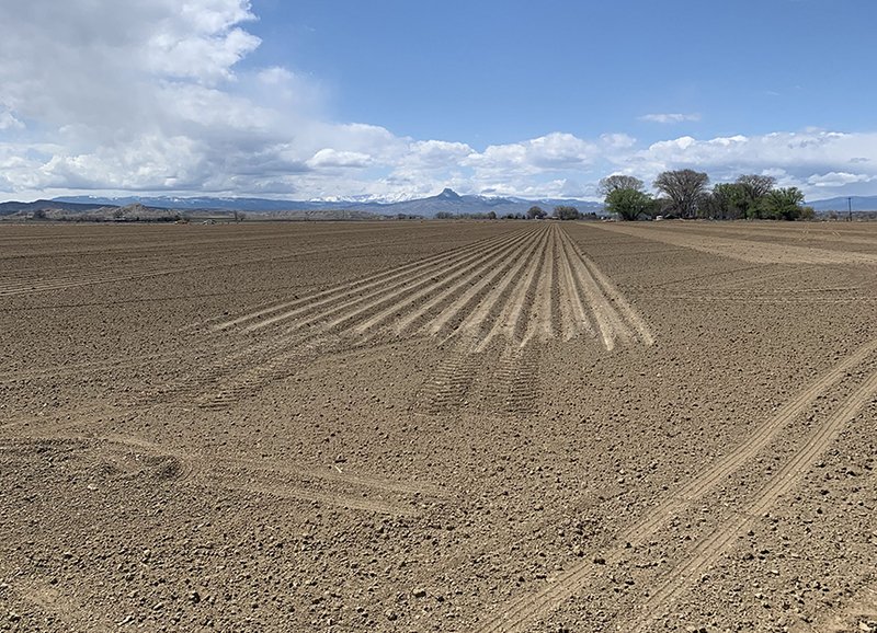 Willwood 80 Irrigated Acres