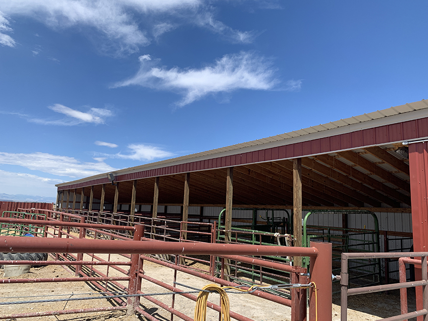 Wyoming Cattle Operation Farms and ranches for sale