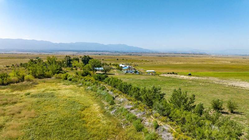 High Country Organic Farm