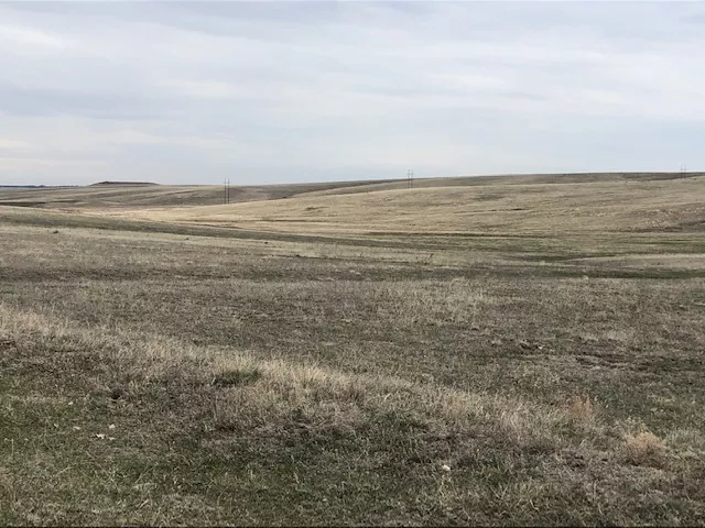 Jones Family Grassland