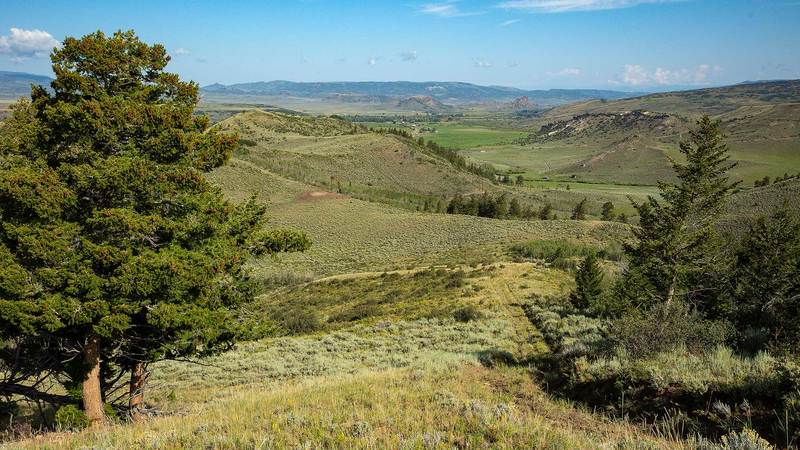 Phillips Creek Yampa Ranch