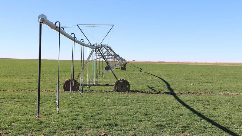 Sherman County State Line Farm