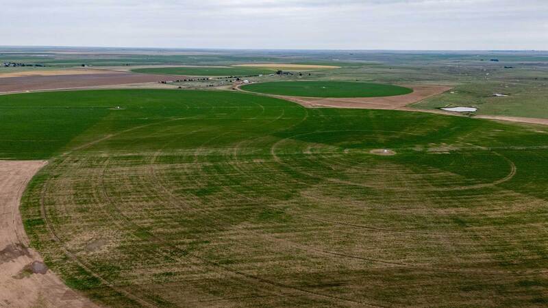 Sherman County State Line Farm