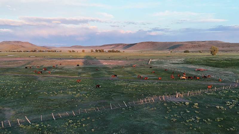Flying N Ranch