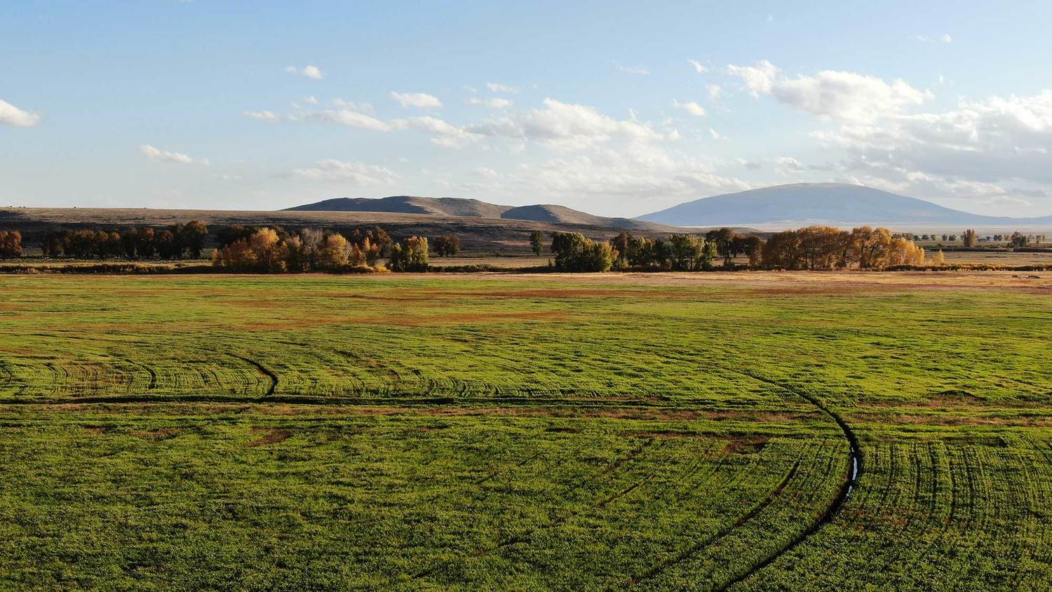 Reserve At T Bone Ranch