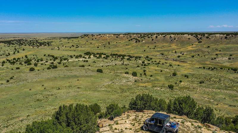 Hidden Gem Grass Ranch