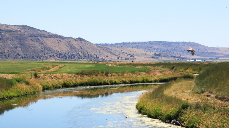 Klamath Straits Ranch