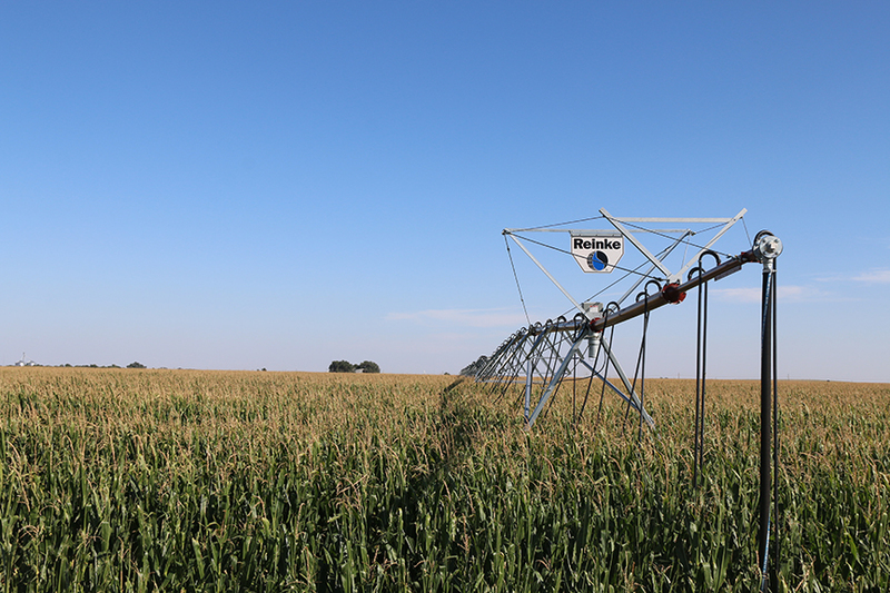 160-acre Texas Farm Land