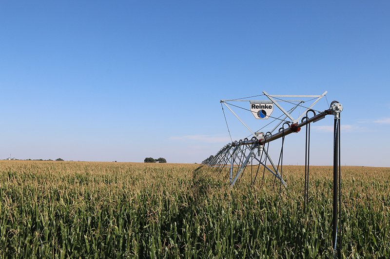 160-acre Texas Farm Land