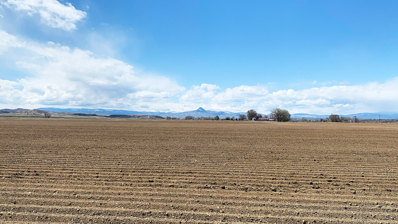 Willwood 148 Irrigated Acres