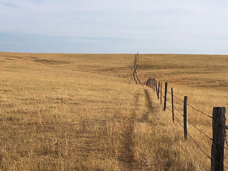Western Nebraska Grass Pasture Land and Farms for sale