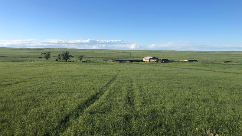 Western Nebraska Grass Pasture
