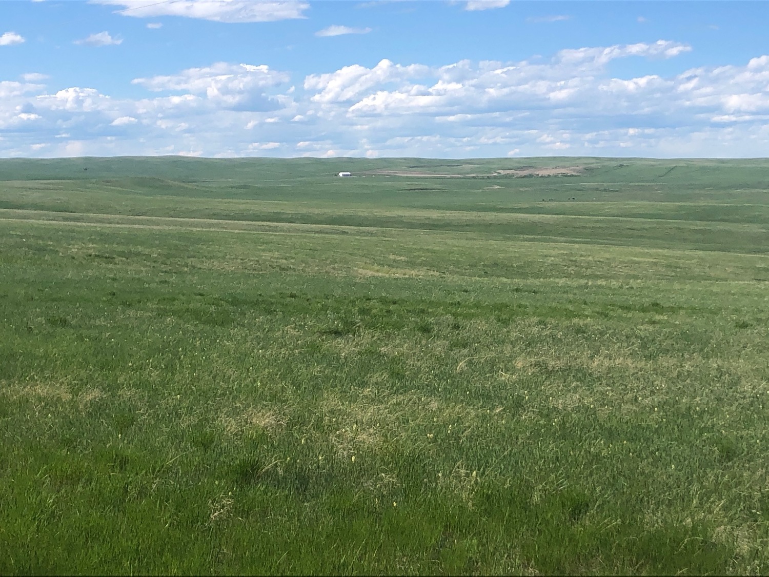 Western Nebraska Grass Pasture Land and Farms for sale