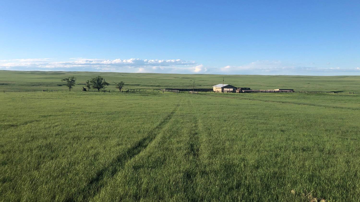 Western Nebraska Grass Pasture Land And Farms For Sale<script async src=