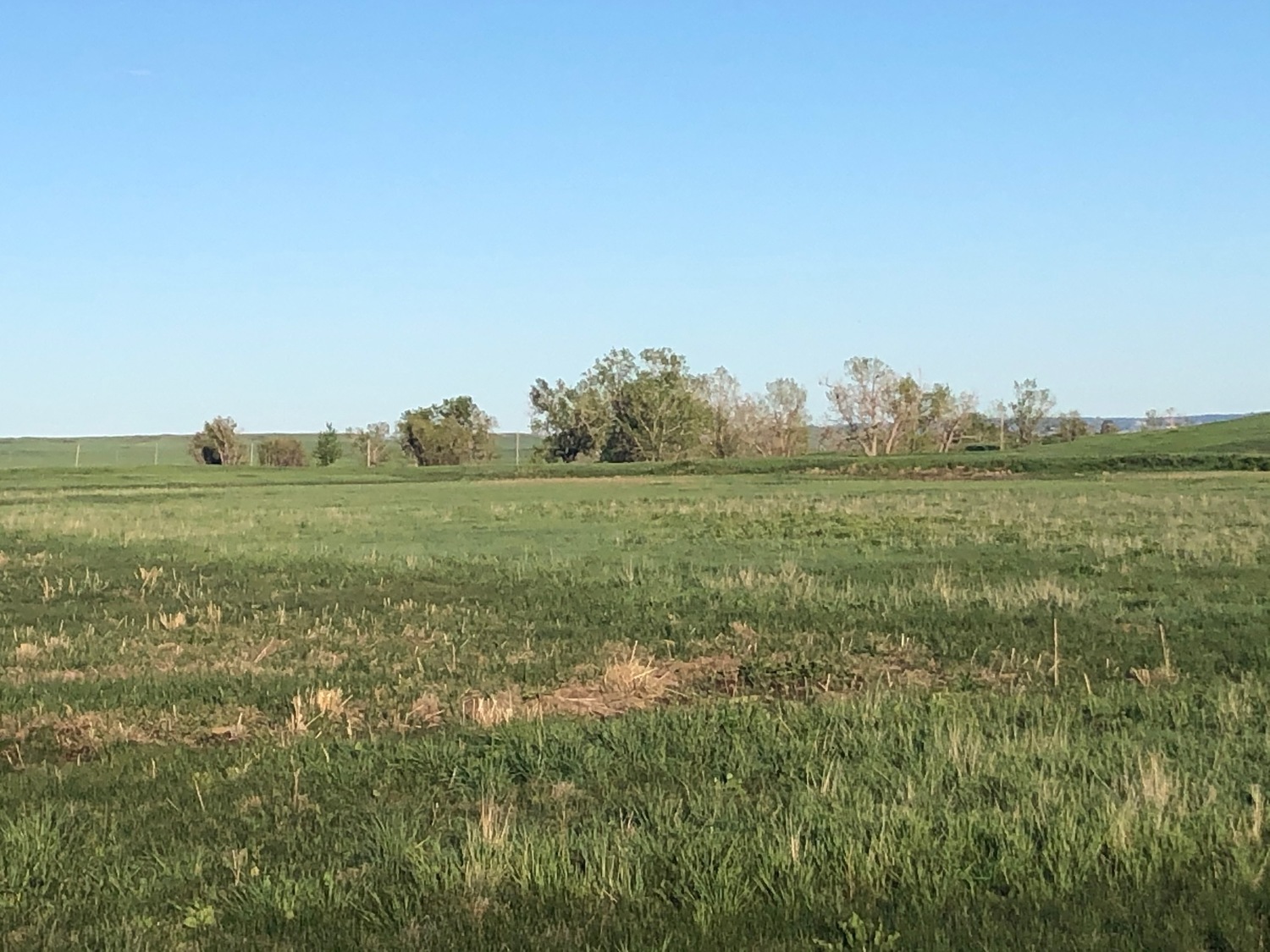 Western Nebraska Grass Pasture Land and Farms for sale