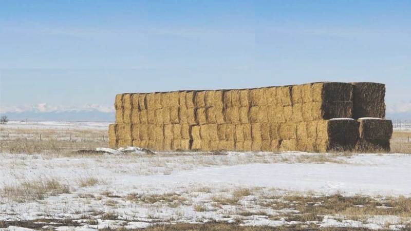 Lost Creek Ranch Land