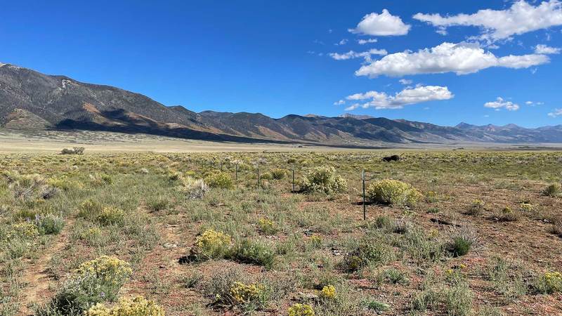 Miller Creek Ranch