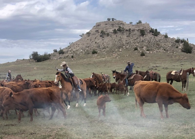 Silver Springs Pasture
