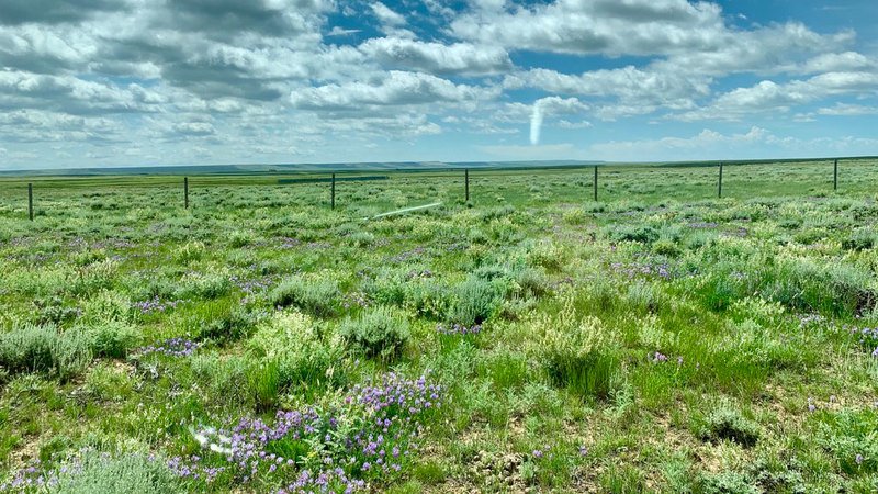 East Cow Creek Ranch