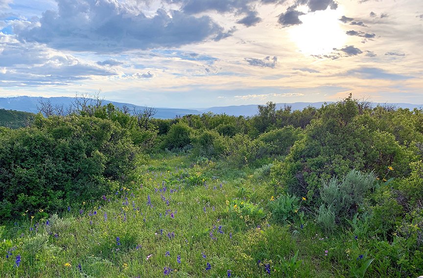 Baldy Creek Mountain Ranch