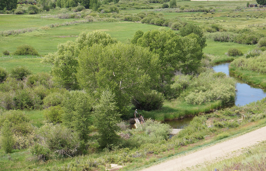 Little Laramie River Ranch, Laramie Wyoming, Albany county