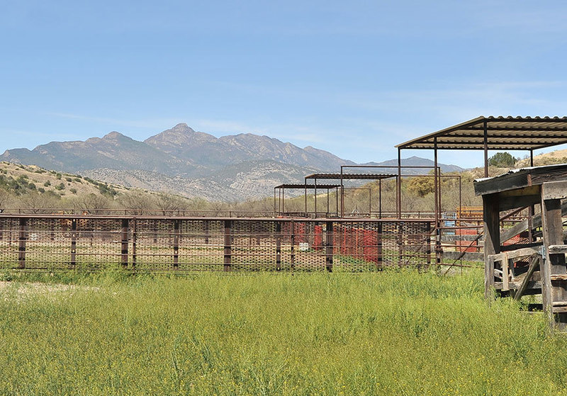 Hacienda Amado Arizona Ranch Estates for Sale