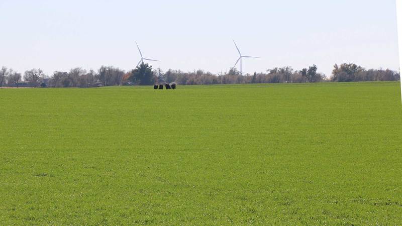 Woodward County Farm