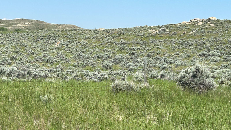 West Cow Creek Ranch