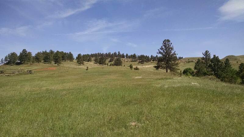 Ridge View Springs