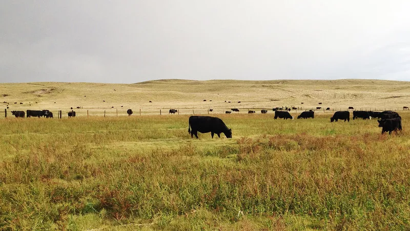 Trout Ranch