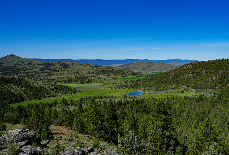 North Ochoco Ranch