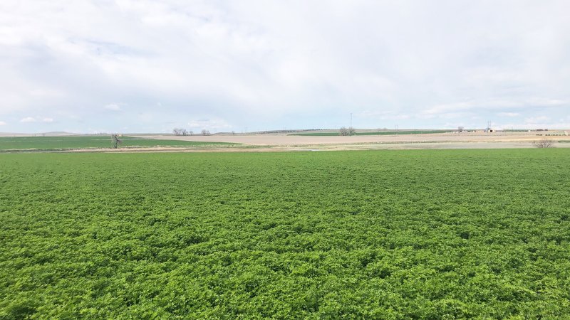 North Platte Irrigated Investment