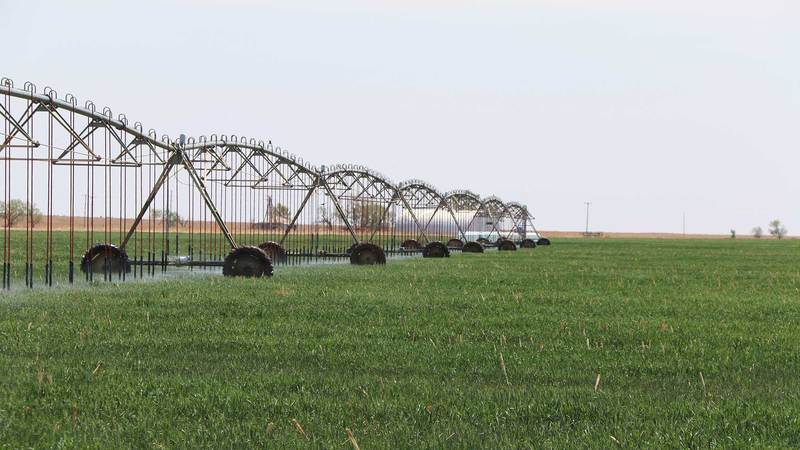Texhoma Irrigated Farm