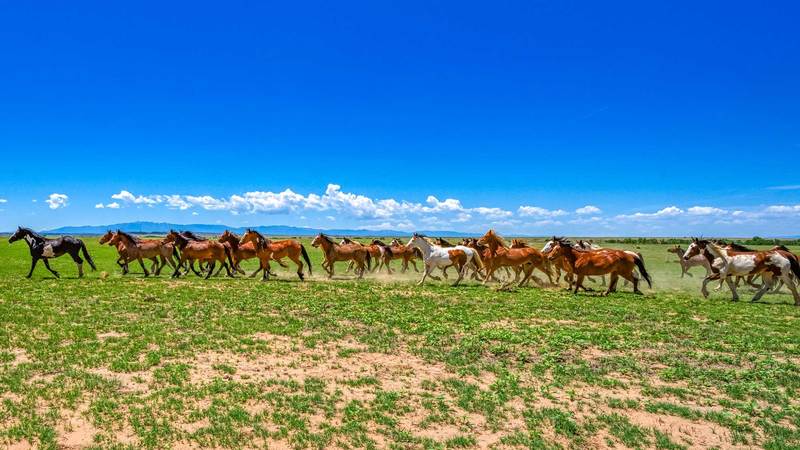 Harry Vold Ranch