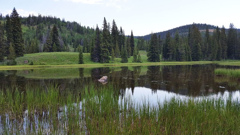 Battle Lake Ranch