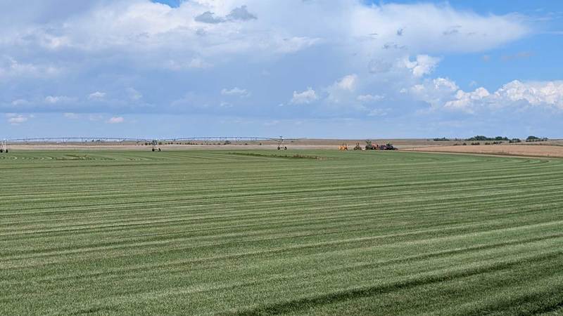 High Mesa Farm