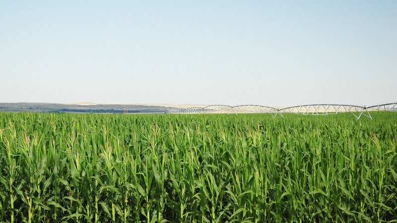 Lodgepole Creek Irrigated Farm