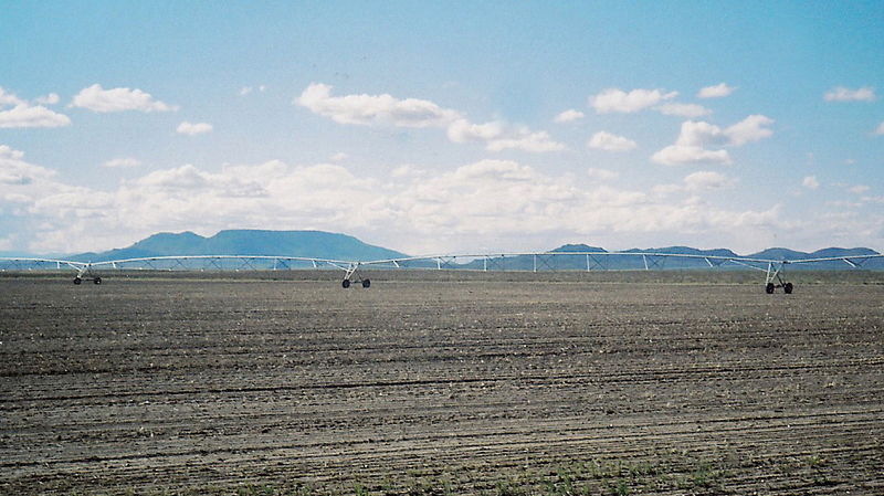 Quintana Farm Pivot Irrigated San Luis Valley