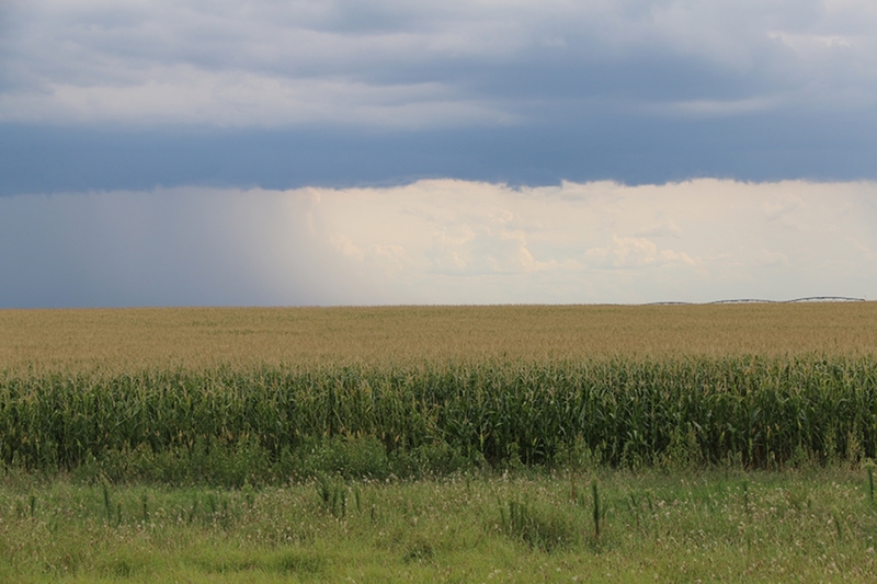 Shadden Farm Land