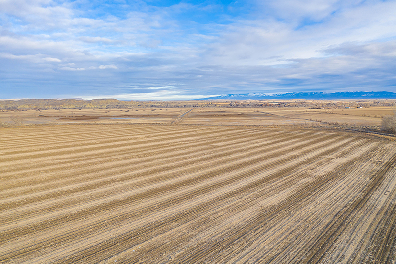 Productive Wyoming Farm Land