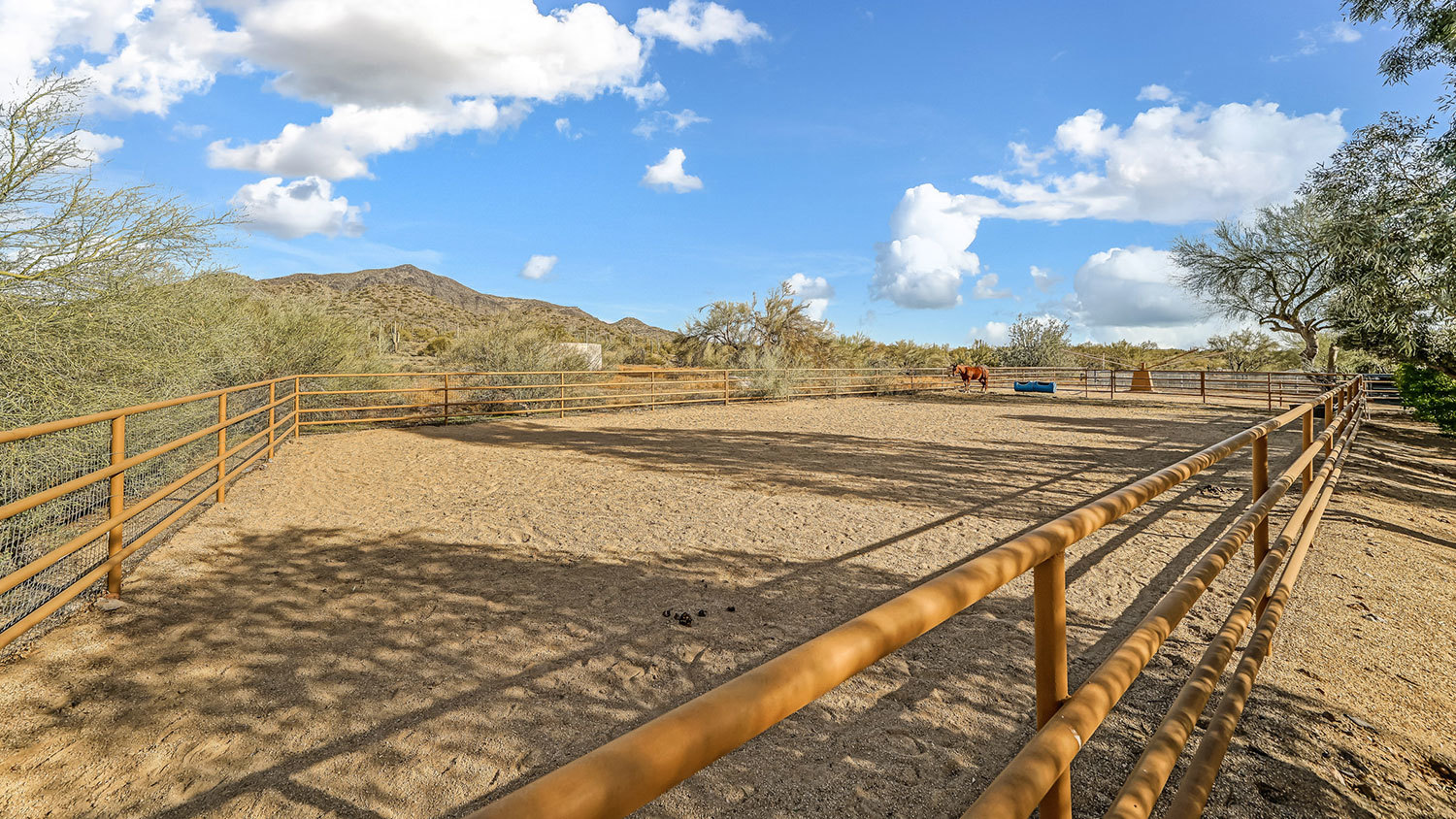 Cave Creek Equestrian Estate Arizona Land for Sale