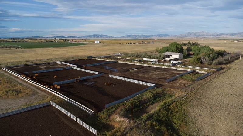 Cottonwood Ranchette and Feedlot