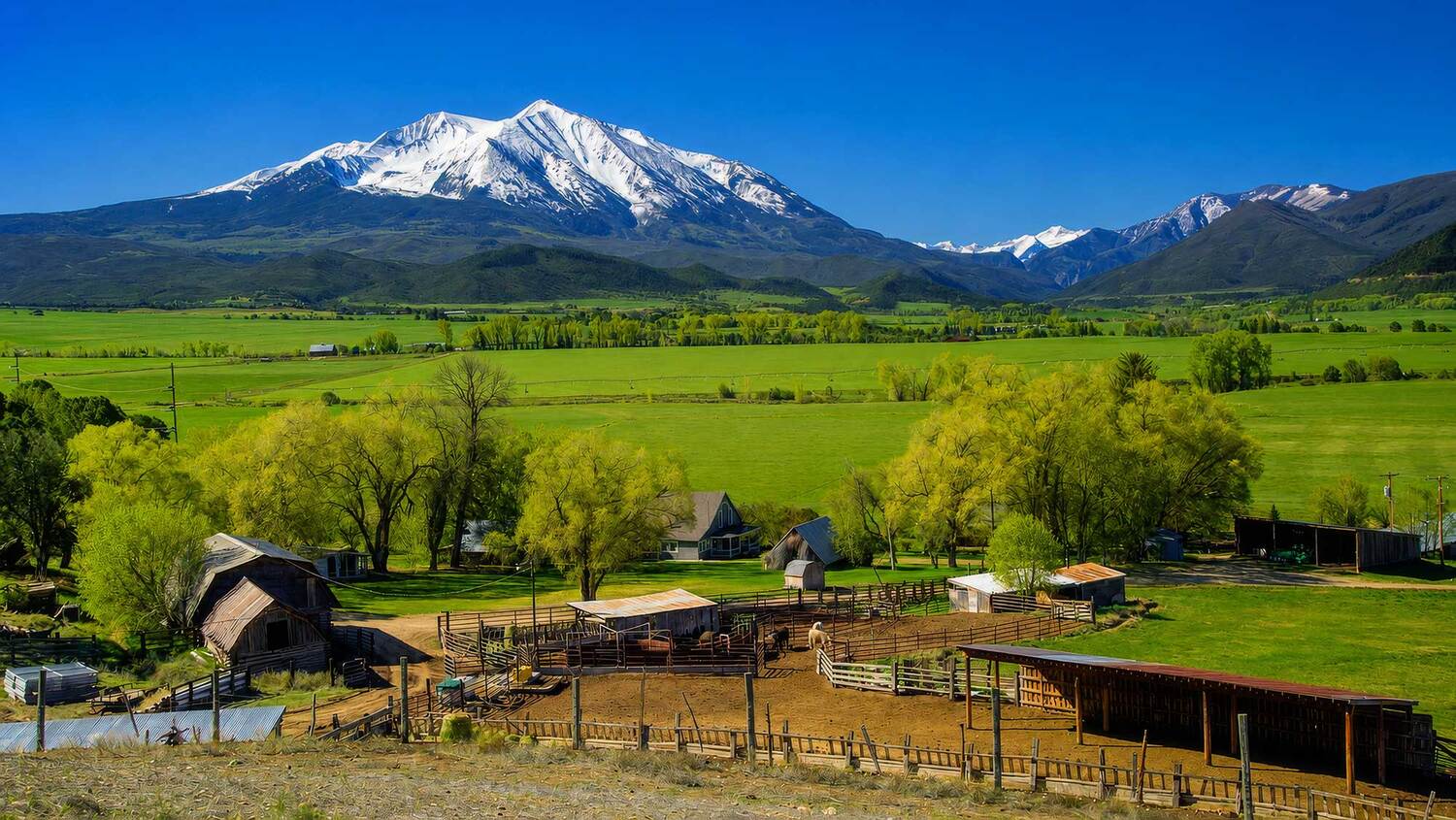 White Hill Ranch