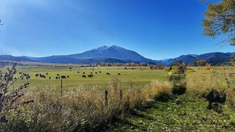 White Hill Ranch