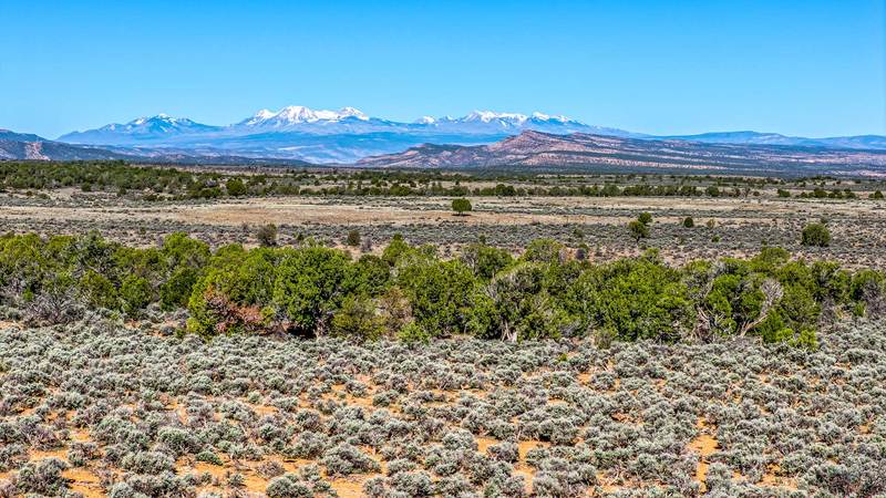 HH 31 Hunting Property