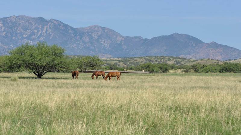 Crown C Ranch