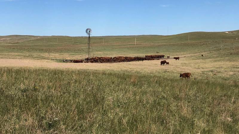 Hooker County Ranch